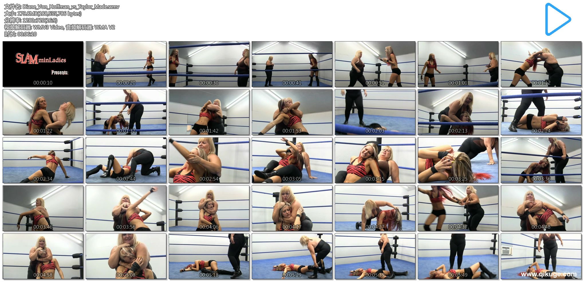 Diane_Von_Hoffman_vs_Taylor_Made.wmv.jpg